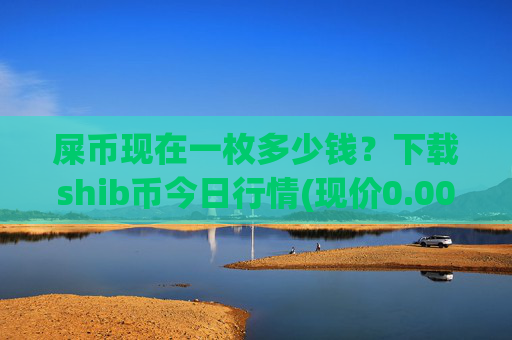屎币现在一枚多少钱?下载shib币今日行情(现价0.00015422元)
