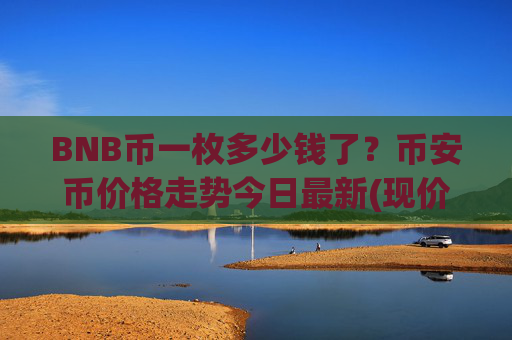 BNB币一枚多少钱了?币安币价格走势今日最新(现价4895.58元)