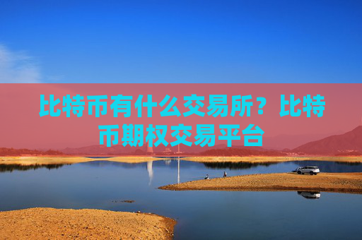比特币有什么交易所?比特币期权交易平台