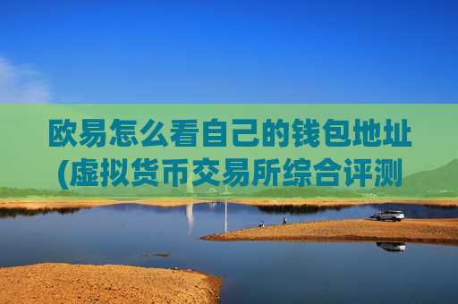 欧易怎么看自己的钱包地址(虚拟货币交易所综合评测)