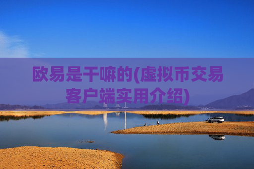 欧易是干嘛的(虚拟币交易客户端实用介绍)
