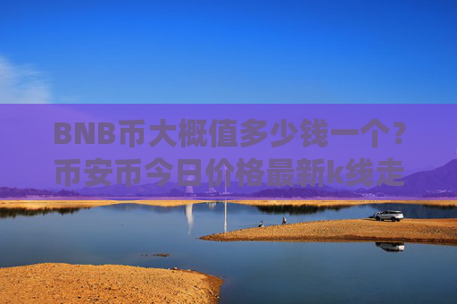 BNB币大概值多少钱一个?币安币今日价格最新k线走势图(现价4952.94元)