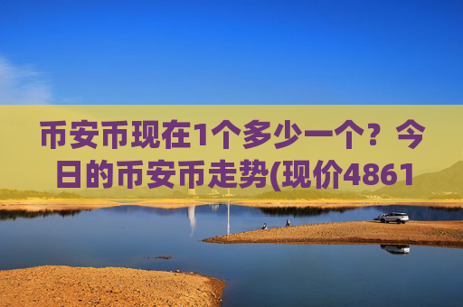 币安币现在1个多少一个?今日的币安币走势(现价4861.35元)