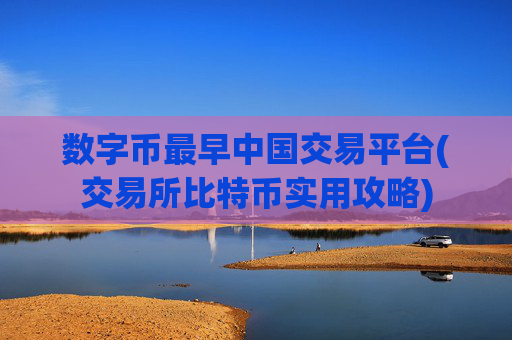 数字币最早中国交易平台(交易所比特币实用攻略)