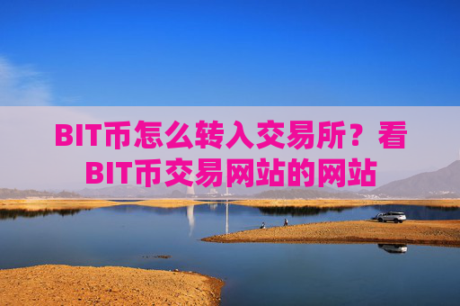 BIT币怎么转入交易所?看BIT币交易网站的网站