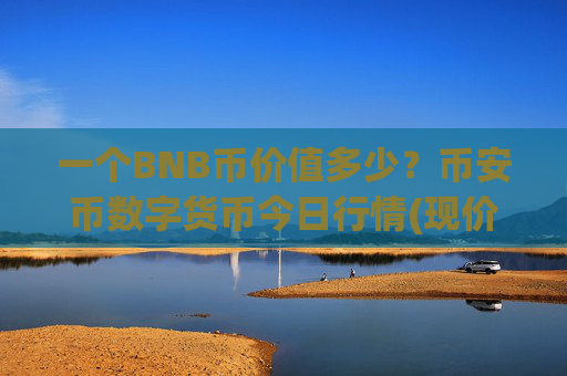 一个BNB币价值多少?币安币数字货币今日行情(现价4894.4元)
