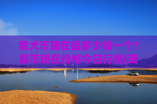 柴犬币现在值多少钱一个?屎币现在价格今日行情(现价0.00015493元)