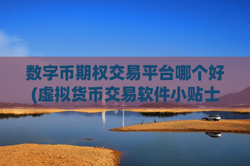 数字币期权交易平台哪个好(虚拟货币交易软件小贴士)