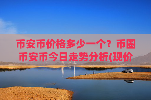 币安币价格多少一个？币圈币安币今日走势分析(现价4899.01元)