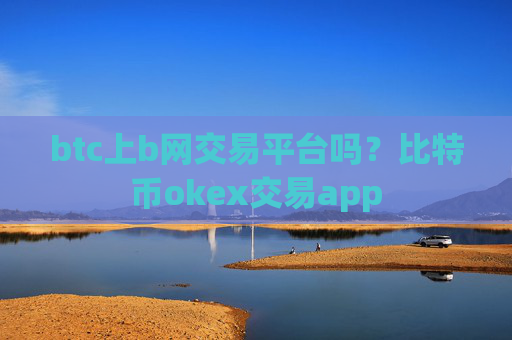 btc上b网交易平台吗?比特币okex交易app