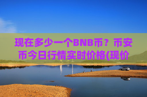 现在多少一个BNB币?币安币今日行情实时价格(现价4905.43元)