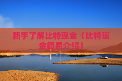 新手了解比特现金(比特现金简易介绍)