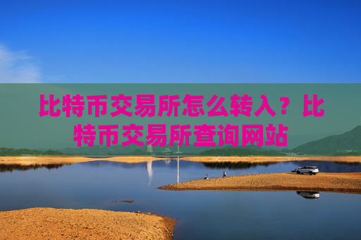 比特币交易所怎么转入?比特币交易所查询网站
