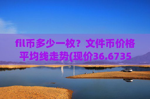 fil币多少一枚?文件币价格平均线走势(现价36.6735元)