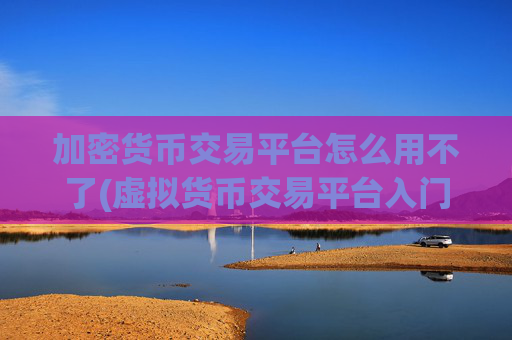 加密货币交易平台怎么用不了(虚拟货币交易平台入门)