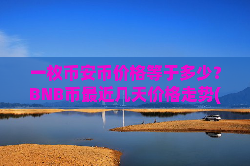 一枚币安币价格等于多少?BNB币最近几天价格走势(现价4794.86元)