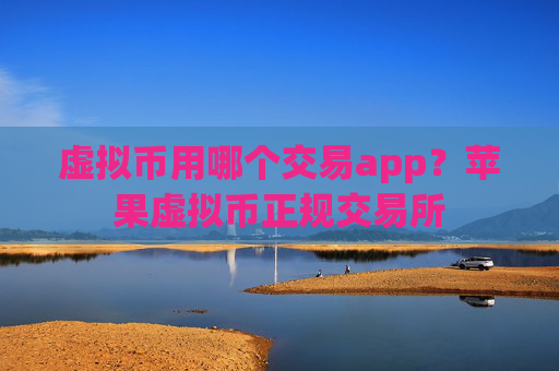 虚拟币用哪个交易app？苹果虚拟币正规交易所