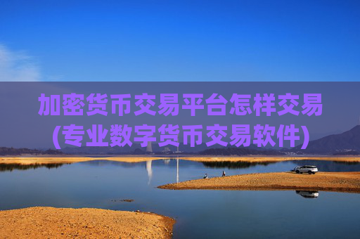 加密货币交易平台怎样交易(专业数字货币交易软件)