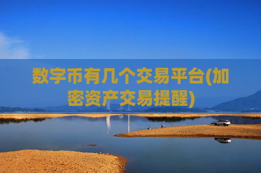 数字币有几个交易平台(加密资产交易提醒)