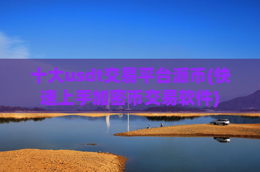 十大usdt交易平台派币(快速上手加密币交易软件)