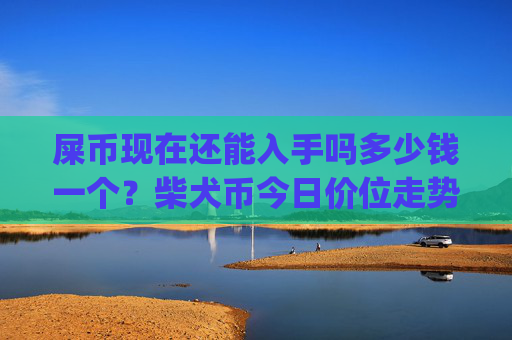 屎币现在还能入手吗多少钱一个？柴犬币今日价位走势图(现价0.00014984元)