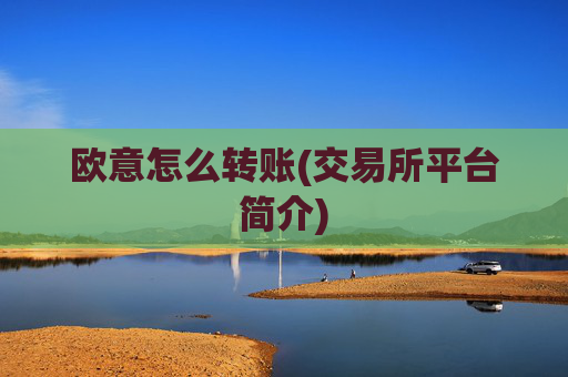欧意怎么转账(交易所平台简介)
