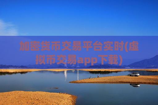 加密货币交易平台实时(虚拟币交易app下载)