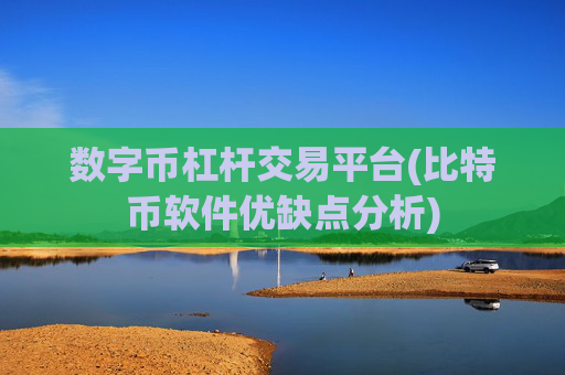 数字币杠杆交易平台(比特币软件优缺点分析)