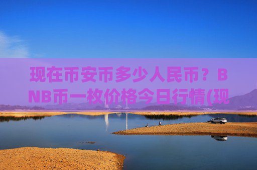 现在币安币多少人民币?BNB币一枚价格今日行情(现价4788.46元)