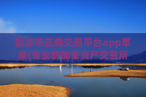 数字币正规交易平台app苹果(专业的加密资产交易所软件)