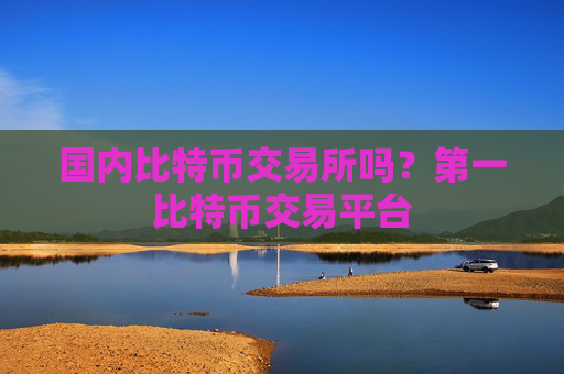 国内比特币交易所吗?第一比特币交易平台