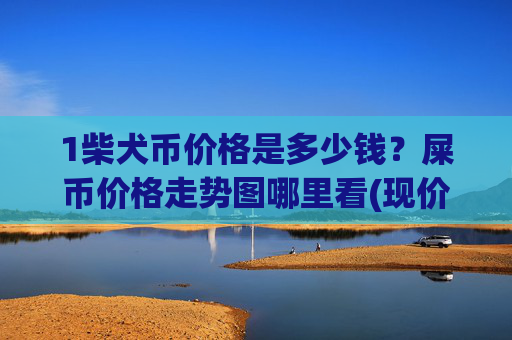 1柴犬币价格是多少钱?屎币价格走势图哪里看(现价0.00014893元)