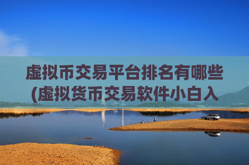 虚拟币交易平台排名有哪些(虚拟货币交易软件小白入门指南)