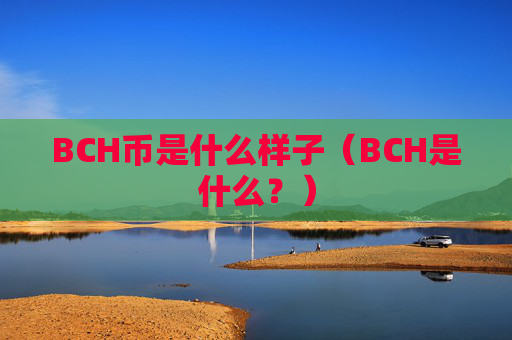 BCH币是什么样子(BCH是什么?)