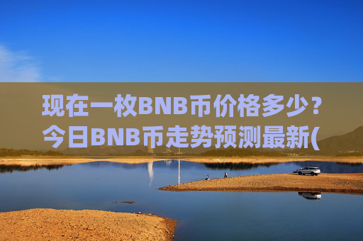 现在一枚BNB币价格多少？今日BNB币走势预测最新(现价4879.93元)