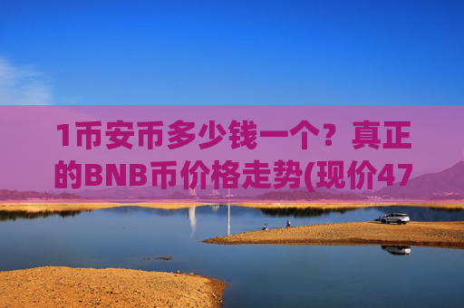 1币安币多少钱一个?真正的BNB币价格走势(现价4785.45元)