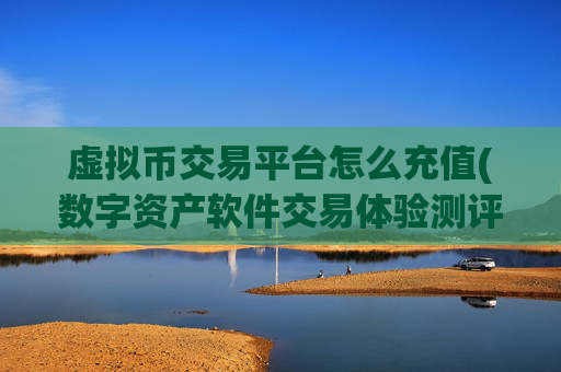 虚拟币交易平台怎么充值(数字资产软件交易体验测评)