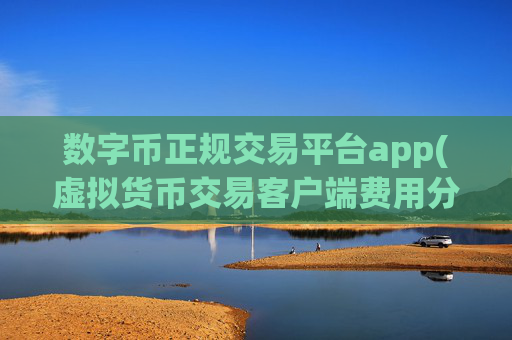 数字币正规交易平台app(虚拟货币交易客户端费用分析)