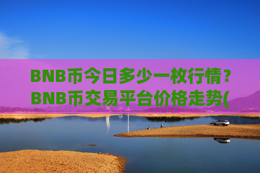 BNB币今日多少一枚行情?BNB币交易平台价格走势(现价4792.82元)