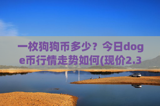 一枚狗狗币多少？今日doge币行情走势如何(现价2.3182元)