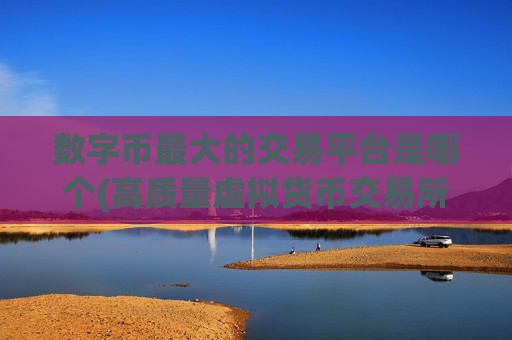 数字币最大的交易平台是哪个(高质量虚拟货币交易所)