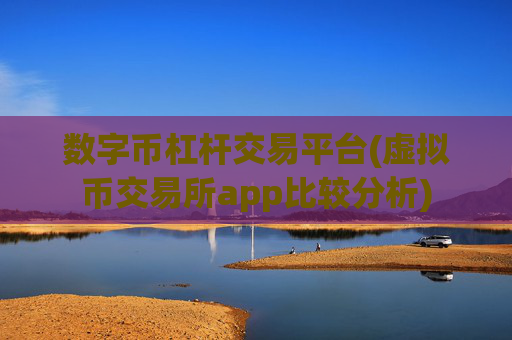 数字币杠杆交易平台(虚拟币交易所app比较分析)