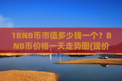 1BNB币市值多少钱一个？BNB币价格一天走势图(现价4754.98元)