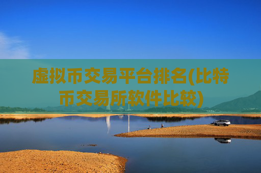 虚拟币交易平台排名(比特币交易所软件比较)