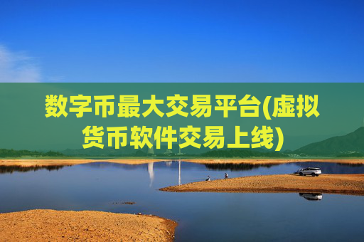 数字币最大交易平台(虚拟货币软件交易上线)