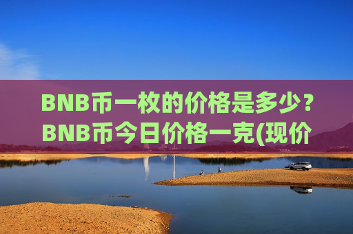 BNB币一枚的价格是多少？BNB币今日价格一克(现价4754.12元)