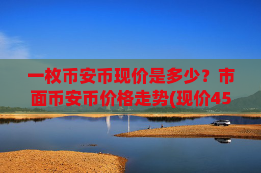 一枚币安币现价是多少？市面币安币价格走势(现价4532.39元)