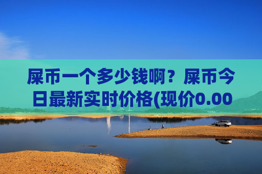 屎币一个多少钱啊?屎币今日最新实时价格(现价0.00015654元)