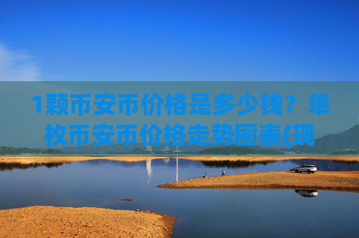 1颗币安币价格是多少钱?单枚币安币价格走势图表(现价4851.07元)