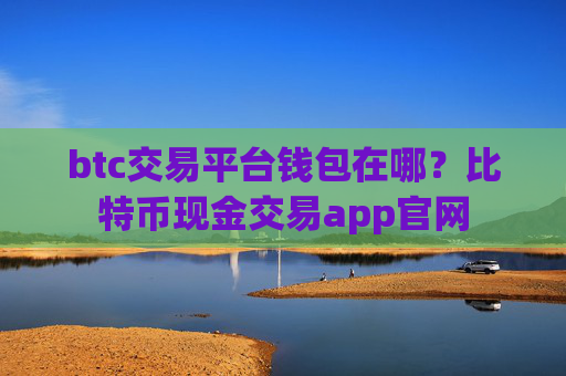 btc交易平台钱包在哪?比特币现金交易app官网